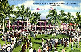 M5, View of the Walking Ring, Hialeah Race Course (NBY 5164).jpg