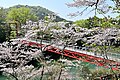 Sakurabuchi Park / 桜淵公園