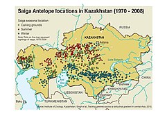 Locations of the Saiga Antelope in Kazakhstan (1970-2008).jpg