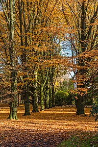 Münster, Park Sentmaring (2015)