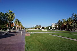 University of Arizona May 2019 47 (Mall).jpg