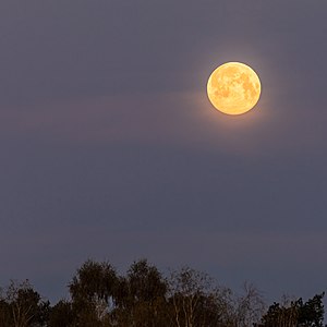 Hausdülmen, Mond über Schmalo (2020)