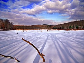 Frozen pond