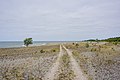 * Nomination Stenkusten (the Stone coast) is a coastal area at north-eastern Gotland. --ArildV 04:14, 26 July 2019 (UTC) * Promotion Good quality. -- Johann Jaritz 04:25, 26 July 2019 (UTC)