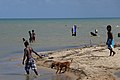 Dangriga