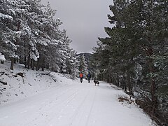 2022-03-06 Sierra de Gúdar nevada 04.jpg