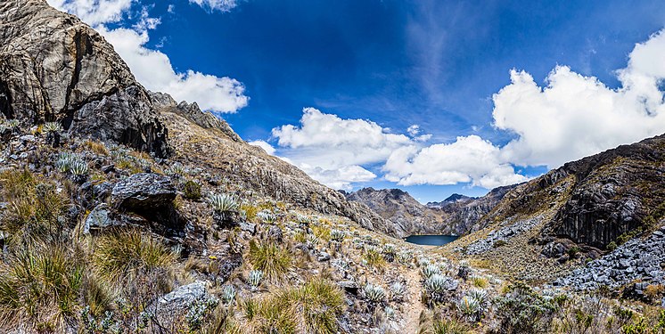 Parque nacional Sierra Nevada © Joevenjo