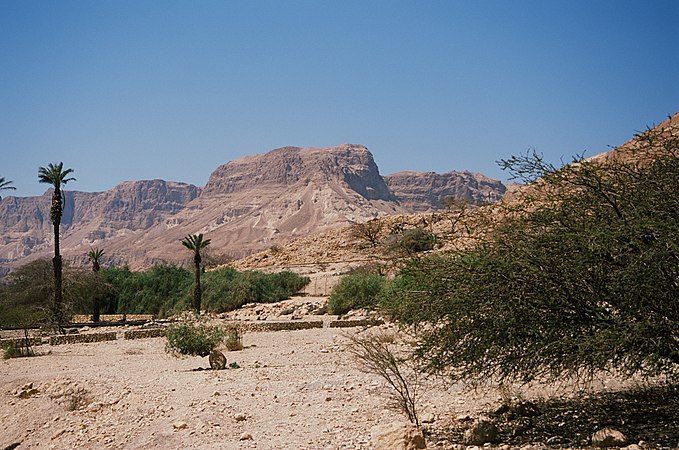 Panorama of Israel