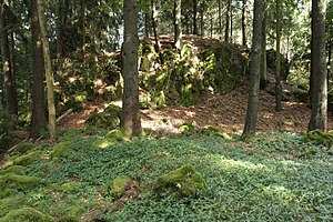 Burgstall Leherfels - Ansicht des Felsens der Oberburg (Juni 2012)