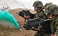 Peruvian naval infantrymen equipped with F2000 rifles