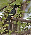 in Hyderabad, India.