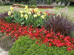 Flower bed, Ferdinándváros, 2018 Győr.jpg