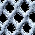 Frost on a chain-link fence, black areas darkened and chroma noise reduced