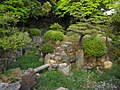 Japanese dry garden in the Ninomaru Garden