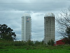 Two Silos - panoramio.jpg