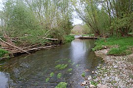 La Tordera al seu pas per Ramió (Fogars de la Selva).JPG