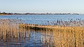 * Nomination View over breakwaters and reeds to the Langweerderwielen. --Agnes Monkelbaan 04:17, 25 June 2021 (UTC) * Promotion Good quality --Michielverbeek 05:20, 25 June 2021 (UTC)