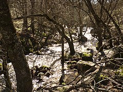 Galapagar, Madrid, Spain - panoramio.jpg