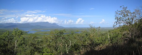 Queensland vegetation between Cairns and Townsville