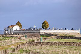 Cementerio de La Encina panorámica.jpg