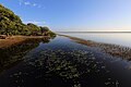 Crooked Tree Lagoons