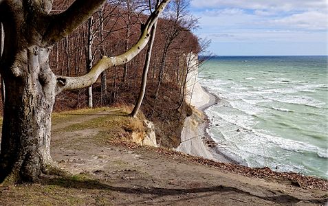 Chalk cliffs in Jasmund National Park, Mecklenburg-Vorpommern © Hrauk