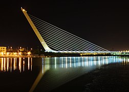 Español: El Puente del Alamillo Français : Le Pont de l'Alamillo English: The Alamillo bridge