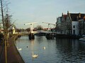 Spaarne