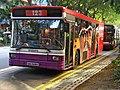 Volvo B10M MkIV, WA Strider, SBS Transit