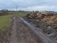 A very muddy Debdale Lane - geograph.org.uk - 3388063.jpg