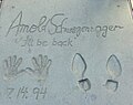 Arnold Schwarzenegger's hand/footprints