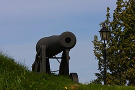 Cannon