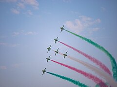 Saudi Hawks92.jpg