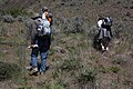 Washington Native Plant Society