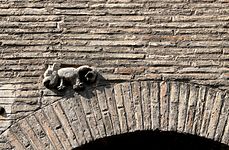 Dragon signpost - Trastevere, Rome