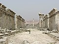 Great Colonnade at Apamea