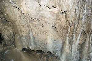 Wandsinter mit den Bewohnern der Höhle