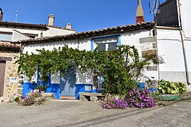 Valdefuentes de Sangusín - casa con parra.jpg