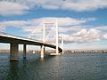 Ed Hendler Bridge also known as the Cable Bridge.