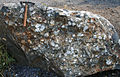 Isolated conglomerate boulder with dark matrix, ? Shawangunk Formation, Silurian, Pennsylvania