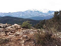 Massif Canigou depuis Calcine Oms.jpg