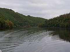 Rurtalsperre Obersee Urft in September 2019 136.jpg