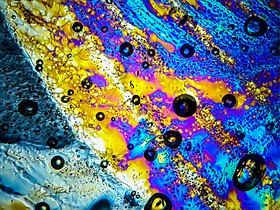 Under polarized light