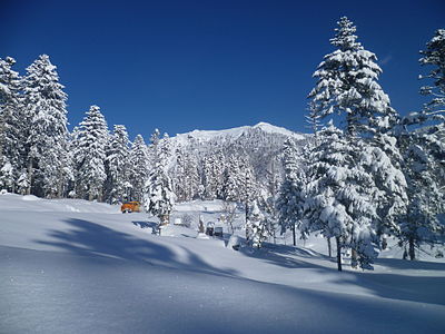 Protected area Eth Portilhon in winter, Val d’Aran © Sarrahèra