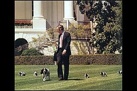 George H. W. Bush with Millie and puppies.jpg