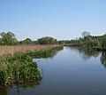 The Łarpia River in Police, a town in Pomerania, Poland / Łarpia w Dolinie Dolnej Odry w Policach