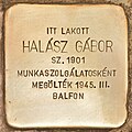 wikimedia_commons=File:Stolperstein für Halász Gábor - Gábor Halász (Budapest).jpg