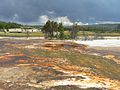 near Grand Prismatic Spring