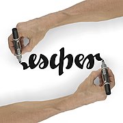 Ambigram Escher with reversible drawing hands - photomontage.jpg