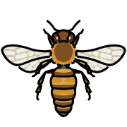 202208 European honey bee adult worker.svg